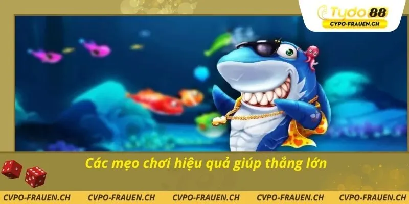 Các mẹo chơi hiệu quả giúp thắng lớn