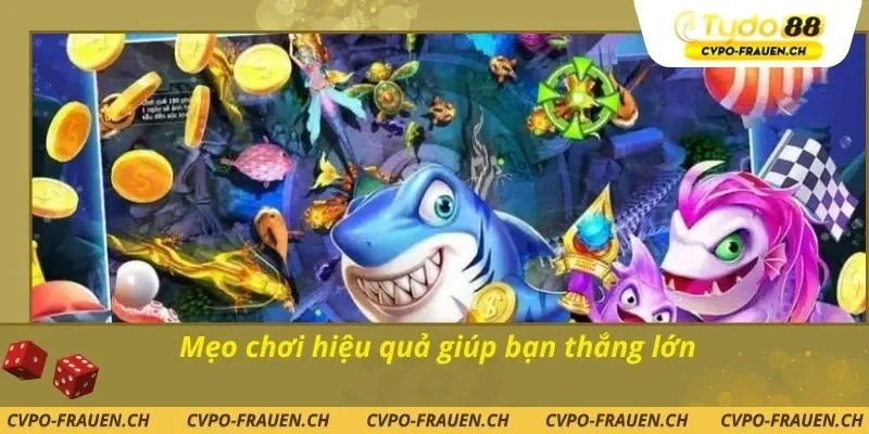 Mẹo chơi hiệu quả giúp bạn thắng lớn