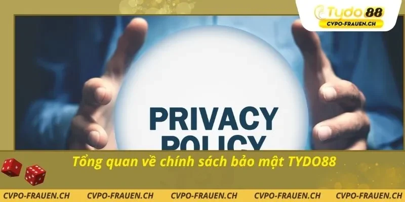 Tổng quan về chính sách bảo mật TYDO88
