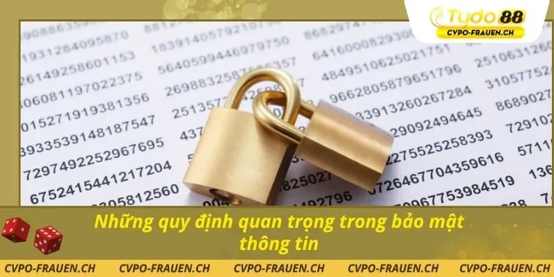Những quy định quan trọng trong bảo mật thông tin