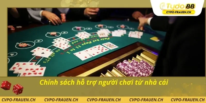 Chính sách hỗ trợ người chơi từ nhà cái
