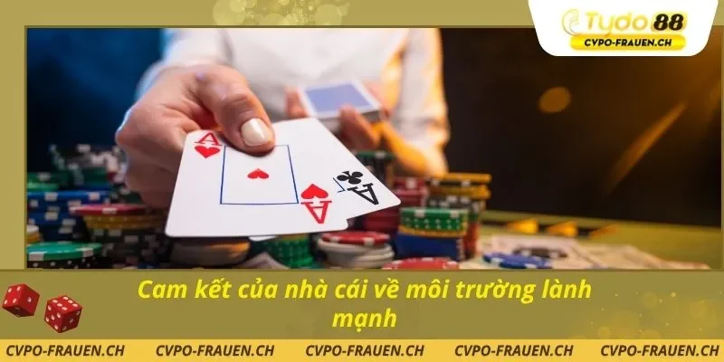 Cam kết của nhà cái về môi trường lành mạnh