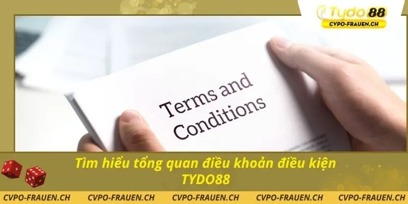 Tìm hiểu tổng quan điều khoản điều kiện TYDO88