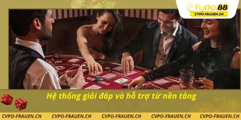 Hệ thống giải đáp và hỗ trợ từ nền tảng