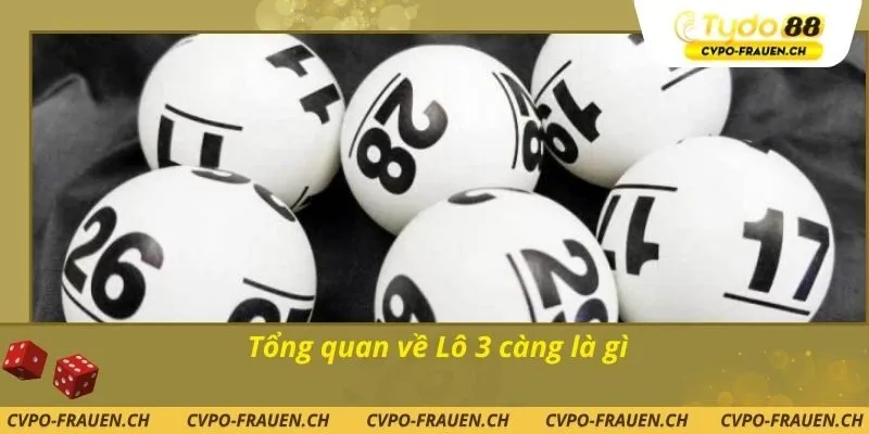 Tổng quan về Lô 3 càng là gì