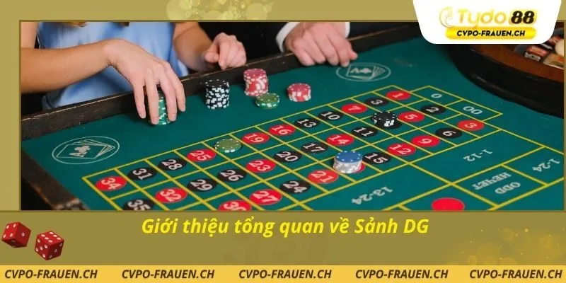 Giới thiệu tổng quan về Sảnh DG