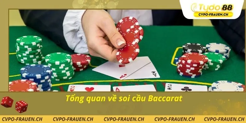 Tổng quan về soi cầu Baccarat