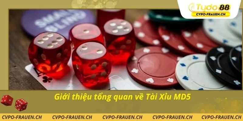 Giới thiệu tổng quan về Tài Xỉu MD5