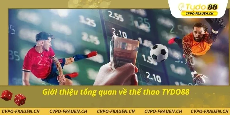 Giới thiệu tổng quan về thể thao TYDO88