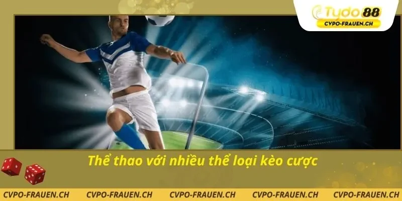 Thể thao với nhiều thể loại kèo cược