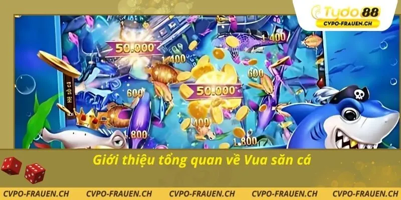 Giới thiệu tổng quan về Vua săn cá